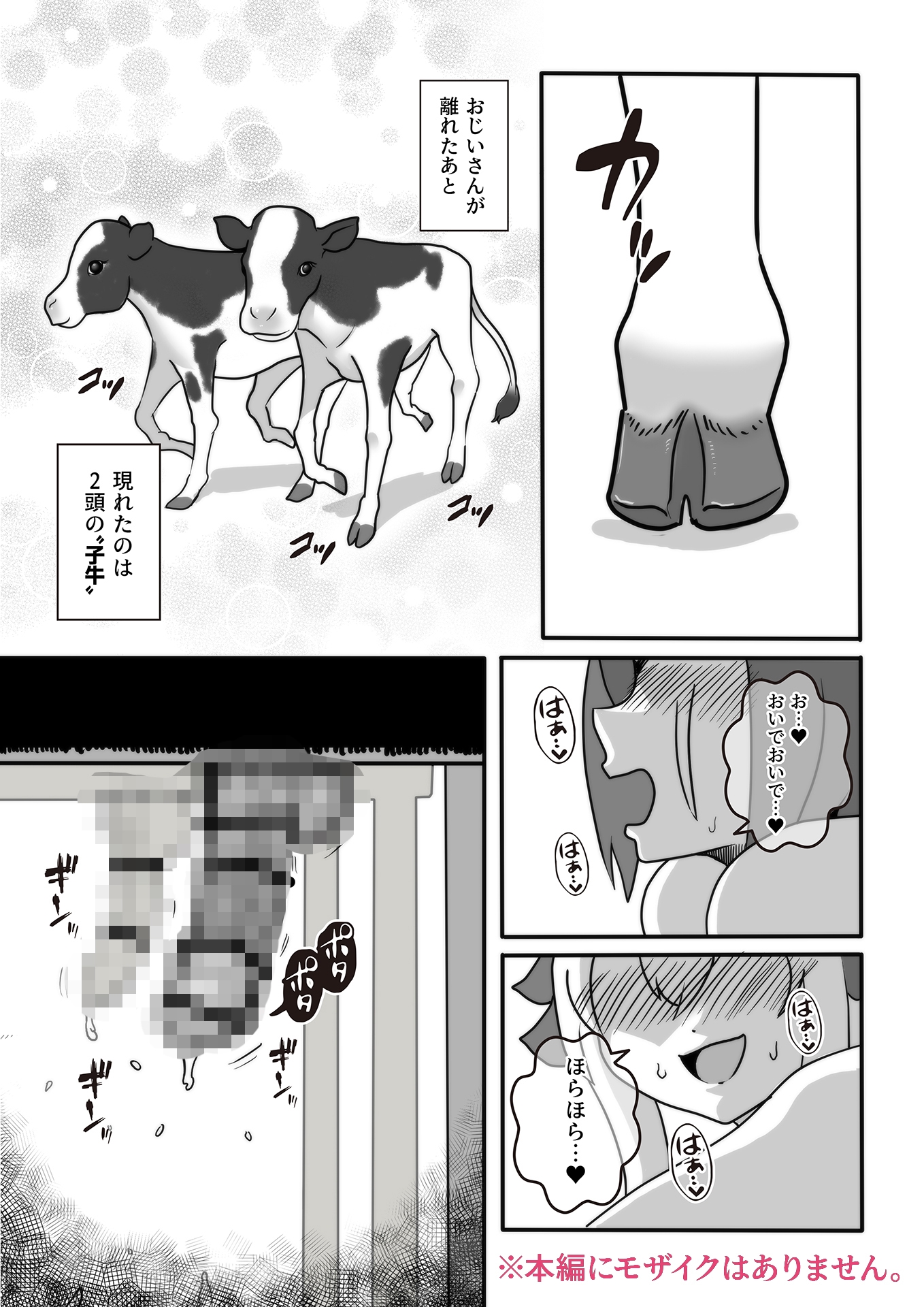 ふたなり秘密牧場 人里離れた山奥で牝馬にマジ種付け – Preview 4