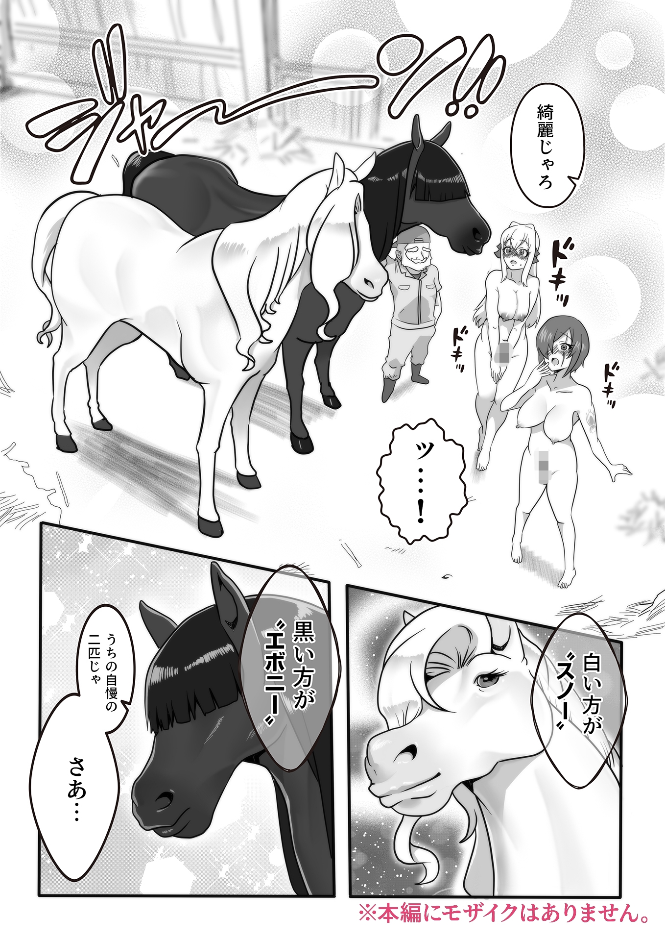 ふたなり秘密牧場 人里離れた山奥で牝馬にマジ種付け – Preview 6