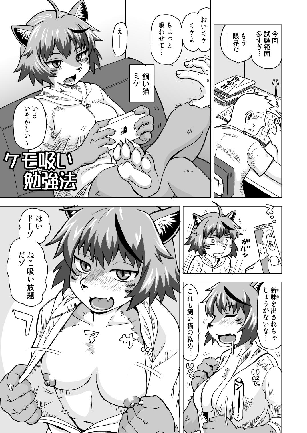 ネコモリアワセ – Preview 4