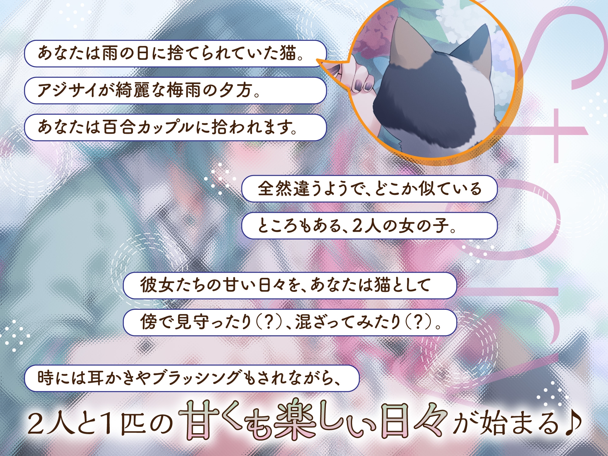 【実百合カップル】梅雨空ハーモニー ～恋するふたりと猫1匹～【猫視点ASMR】 – Preview 2