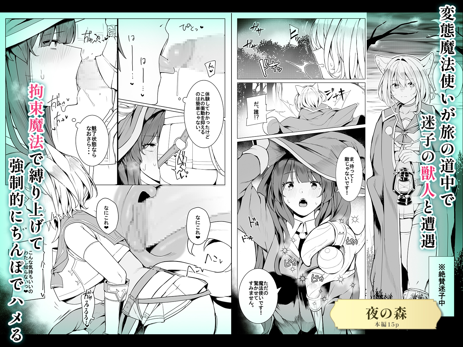 【6作品収録】ふたなり短編作品集【JK、魔法使い、獣人】 – Preview 5