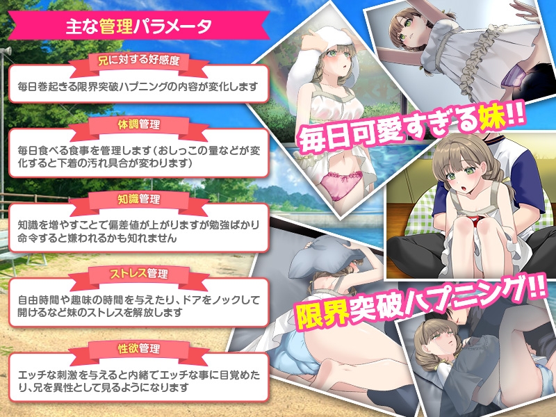 いもしむ お兄ちゃん監修！妹育成シミュレーター – Preview 4