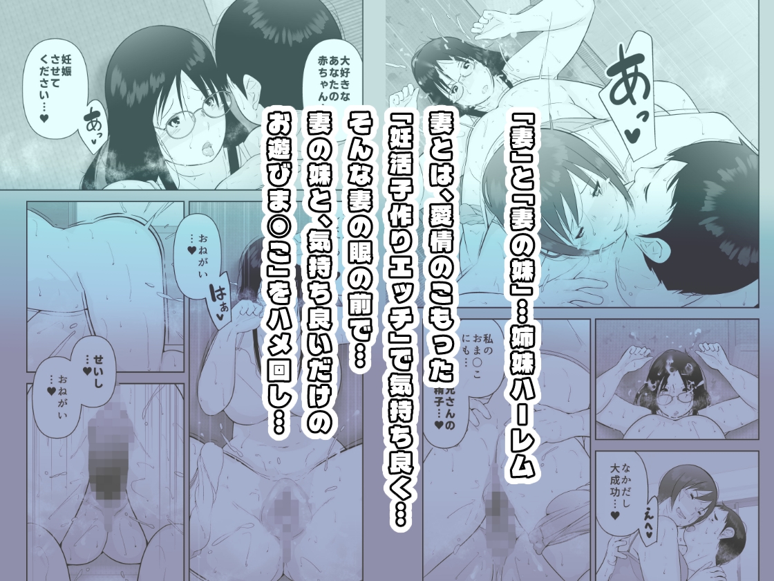 妻と義妹、孕ませ希望。 – Preview 3