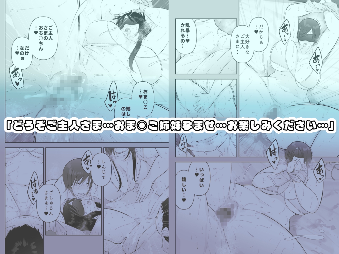 妻と義妹、孕ませ希望。 – Preview 5