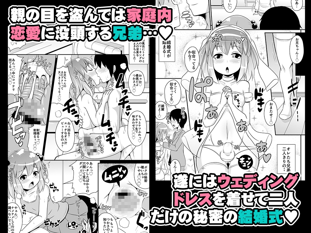 弟メス♂化これくしょん – Preview 3