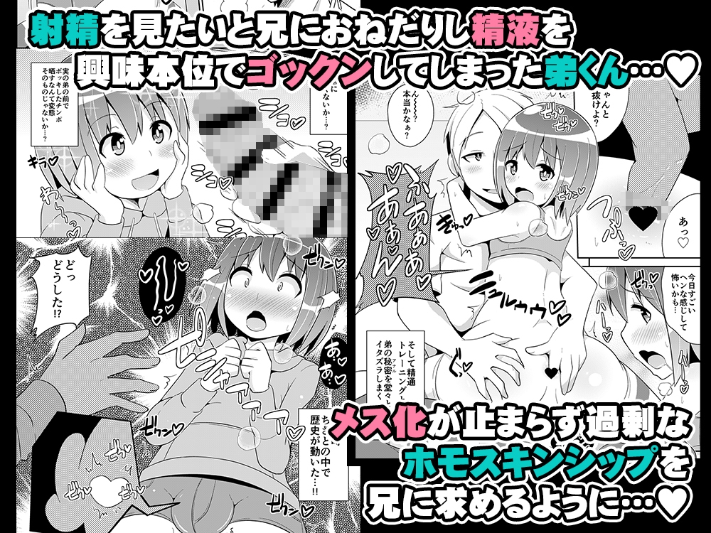 弟メス♂化これくしょん – Preview 4