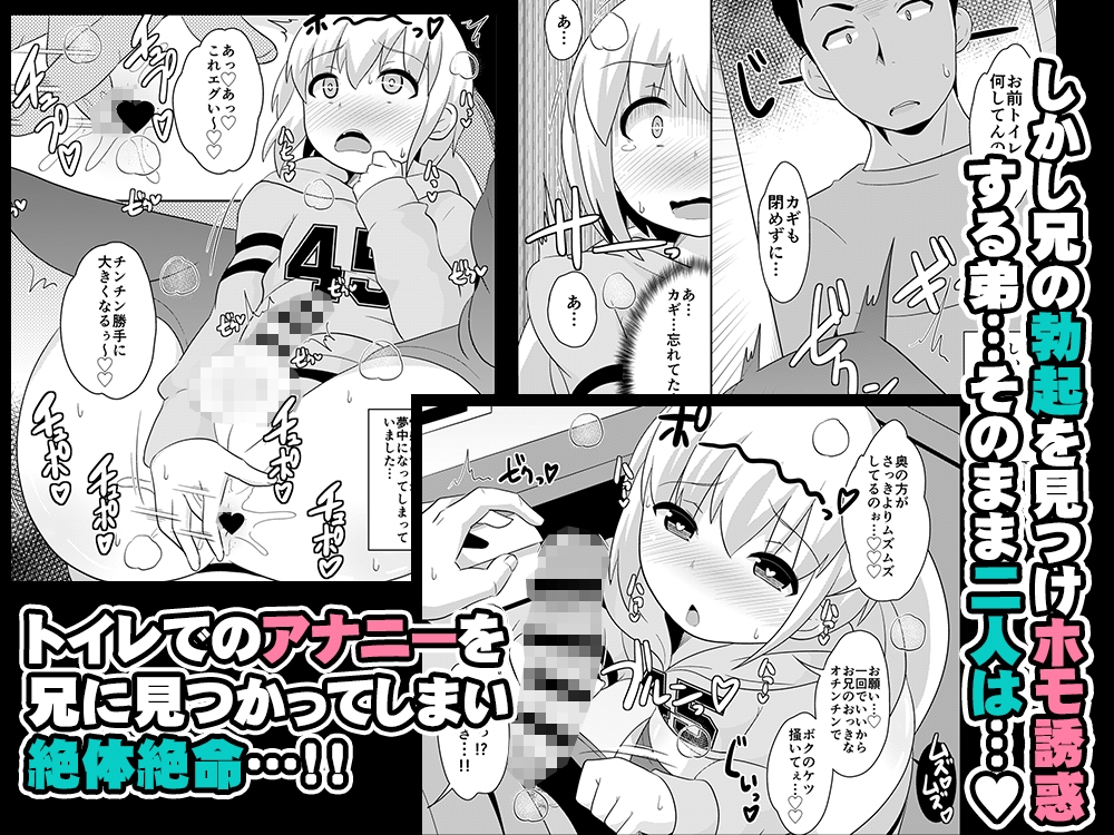 弟メス♂化これくしょん – Preview 5