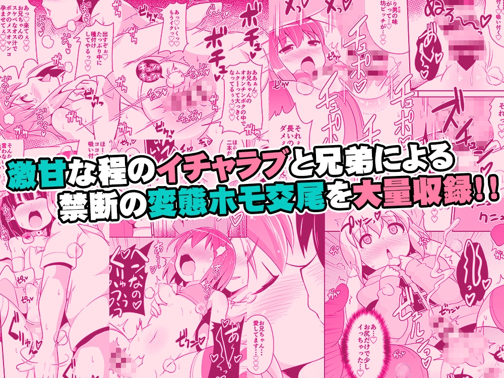弟メス♂化これくしょん – Preview 9