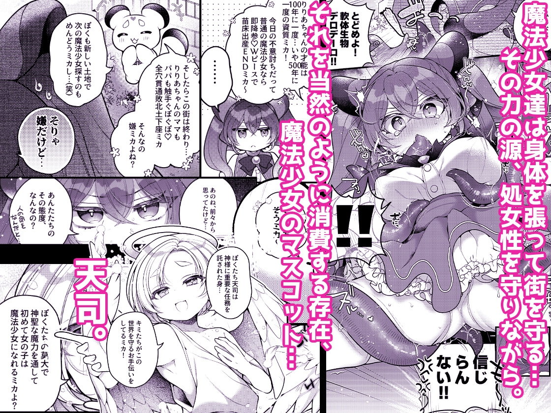 だったらあんたが魔法少女になりなさいよ！！