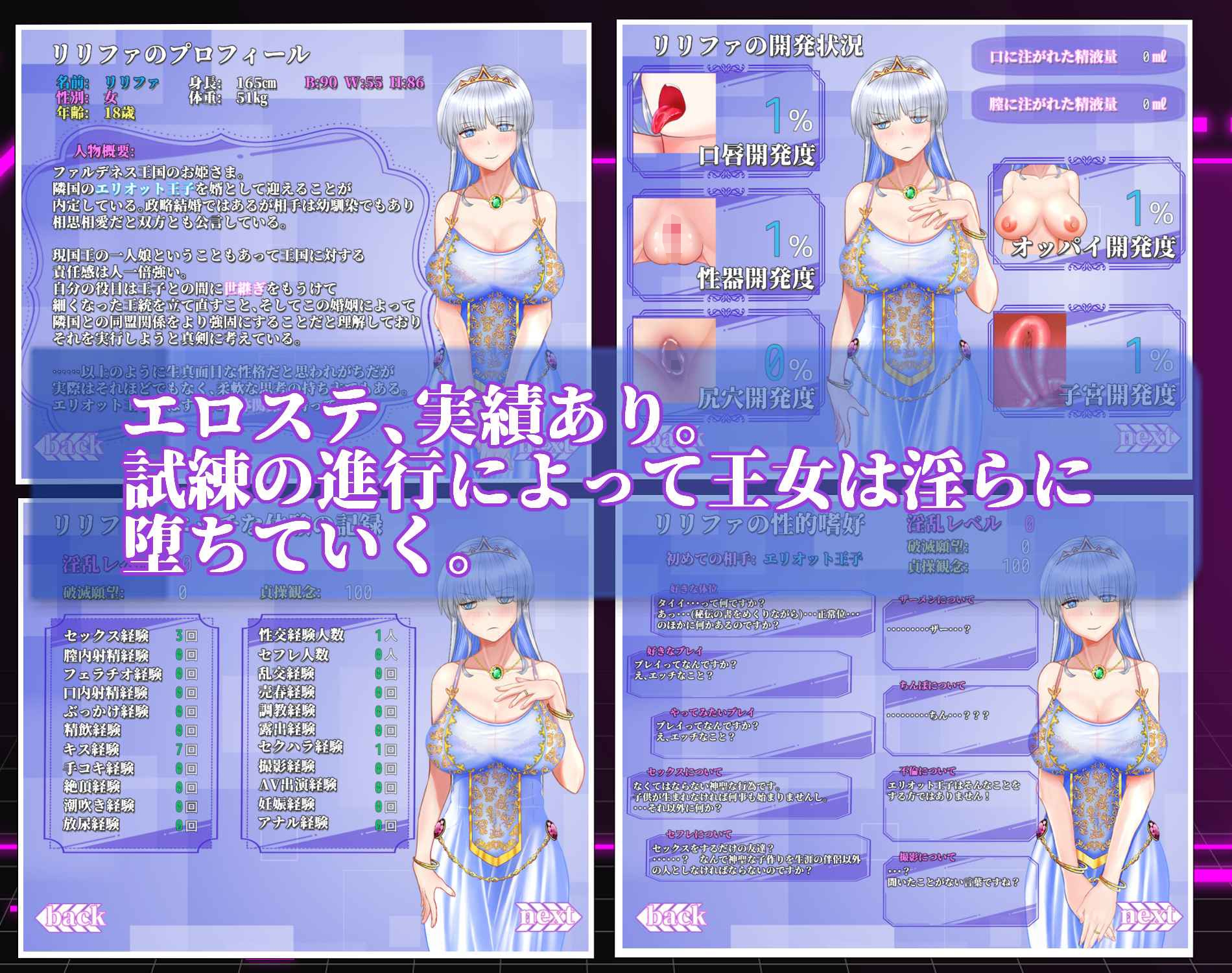 お姫さまにもできるNTR計画 – Preview 3