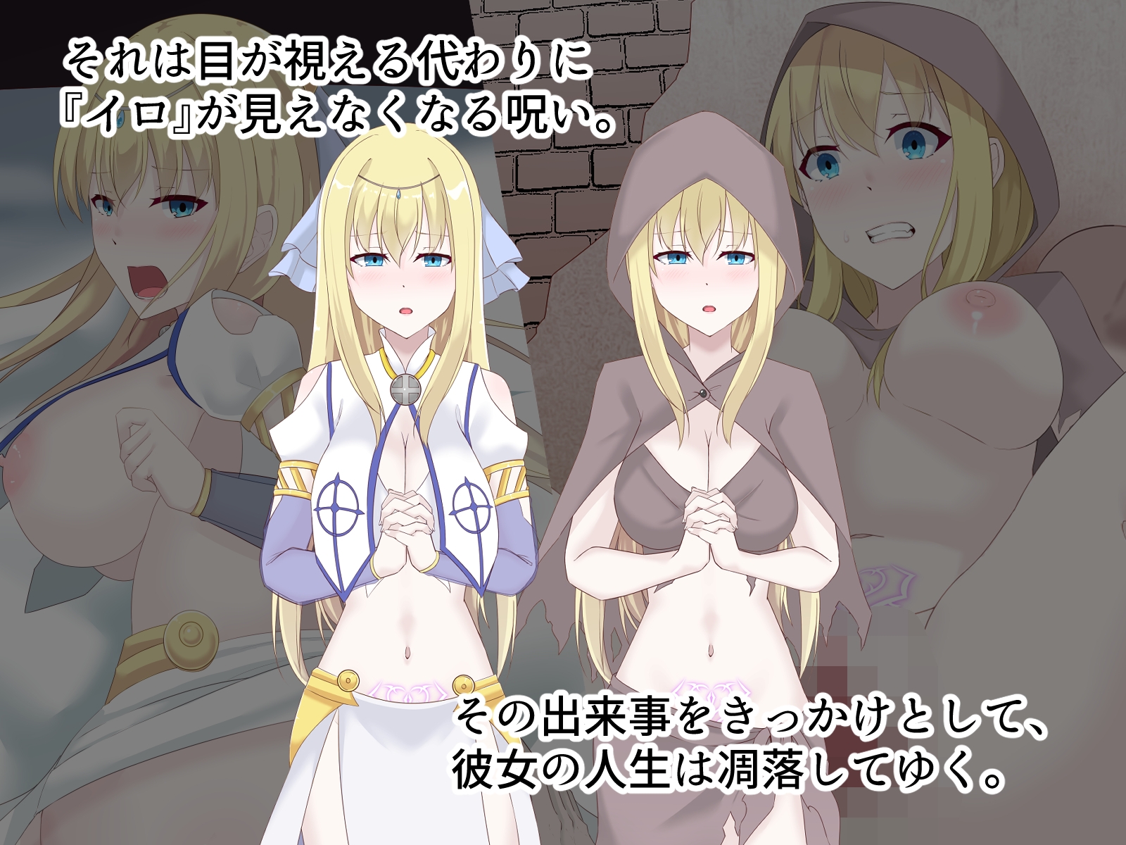 醜くも美しきこの世界を -盲目の聖女、淫魔に堕ちる-