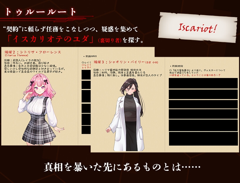奪略少女レイラ～セカイのためにこの身を捧ぐ供儀契約～ – Preview 11