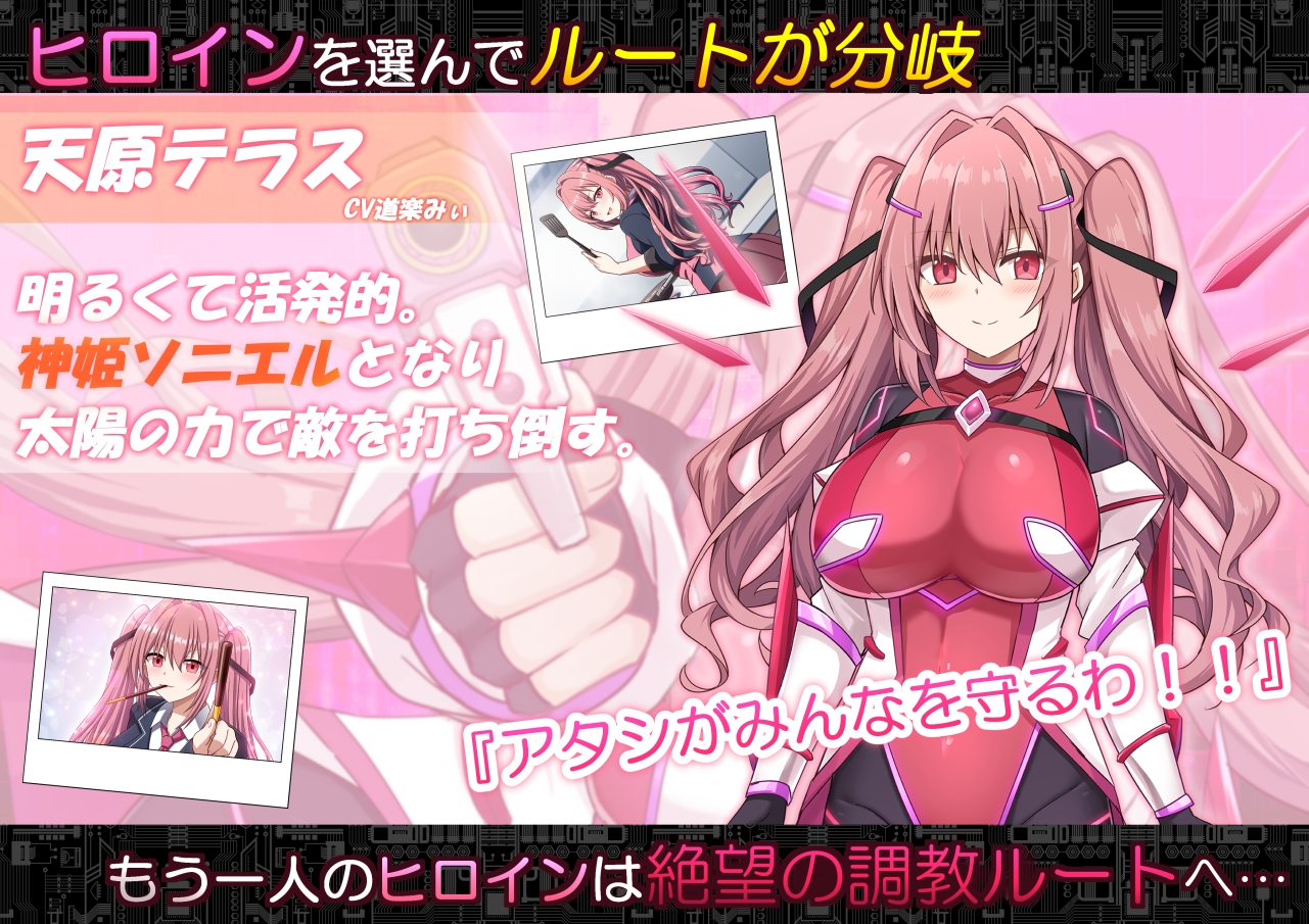 コード:アポカリプス -堕落の神姫と奈落の王-