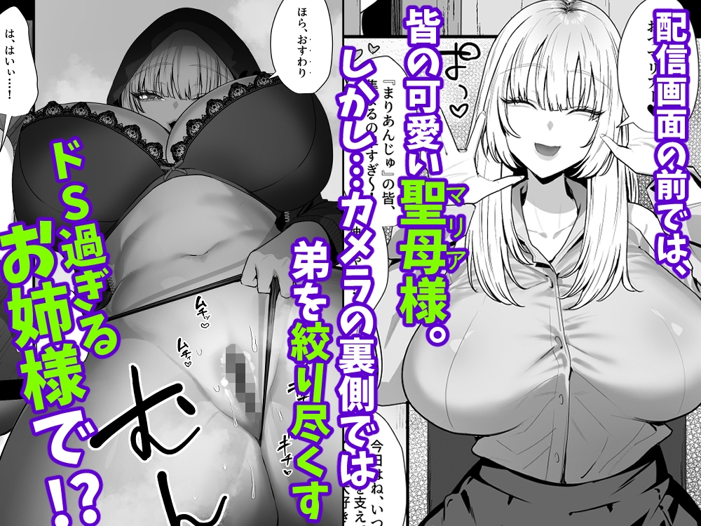 ドSな姉さんのストレス発散方法は、実弟の僕を拘束してバッコバコにオナニーセックスすることです。 – Preview 2