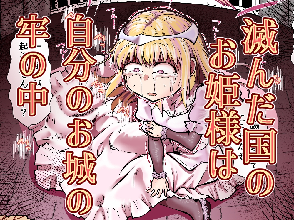 滅んだ国のお姫様は自分のお城の牢の中 – Preview 7