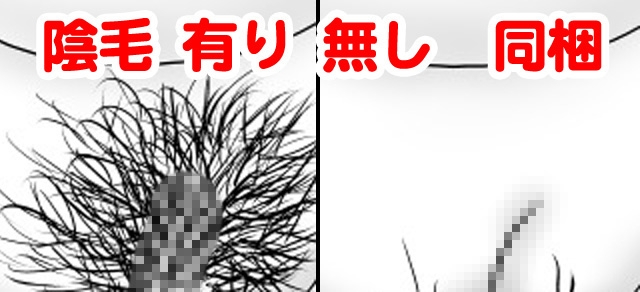 姉が弟にオムツするって普通ですよね? – Preview 9