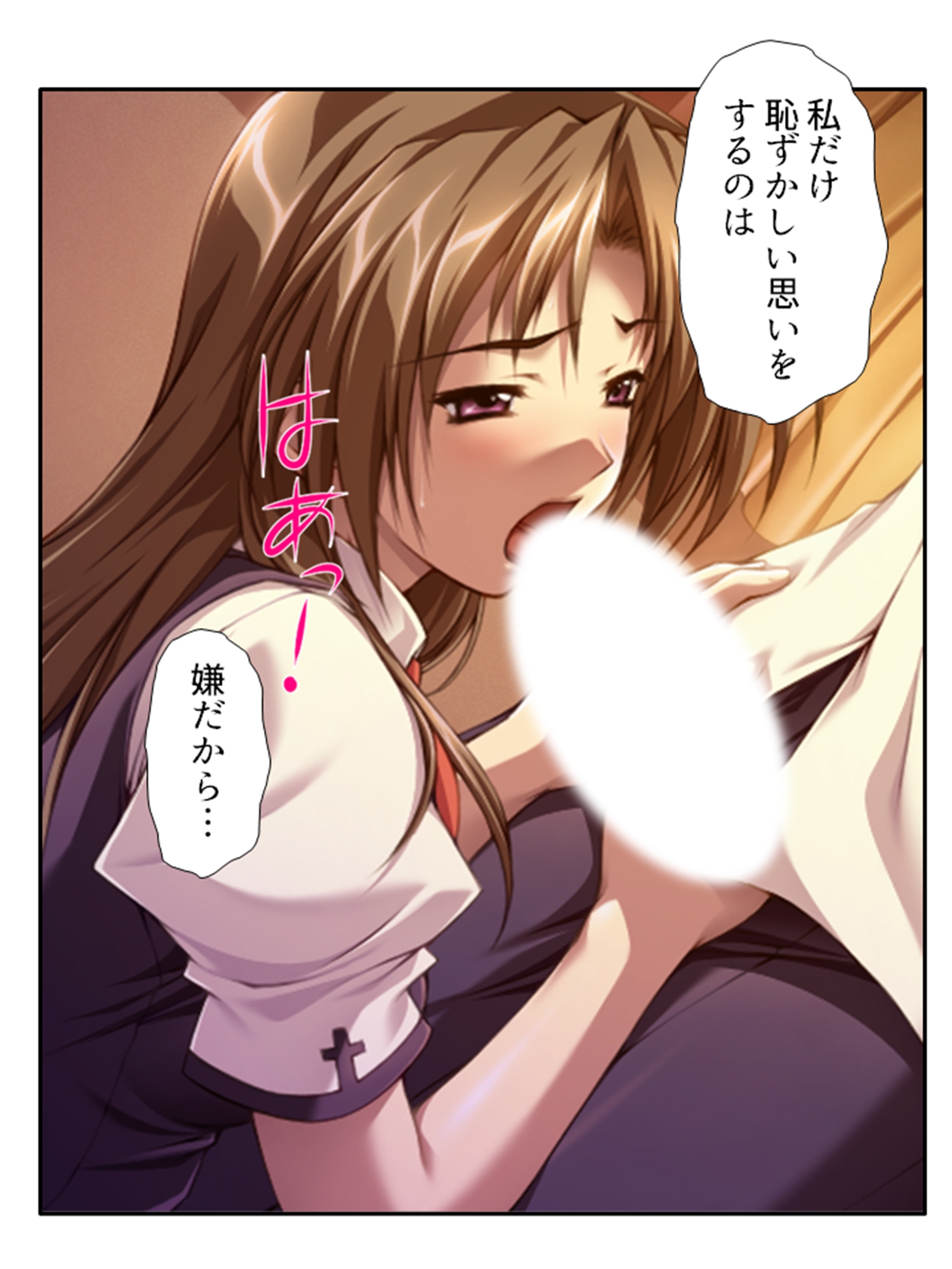 種付け天国！やりたい放題のビ●チ化孕ませ教育 <総集編> – Preview 7