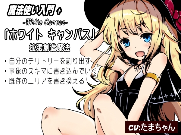 魔法使い入門+ まとめパック2「ホワイトキャンバス」「ガイド2 賢人会議」「ガイド3 超越介入」