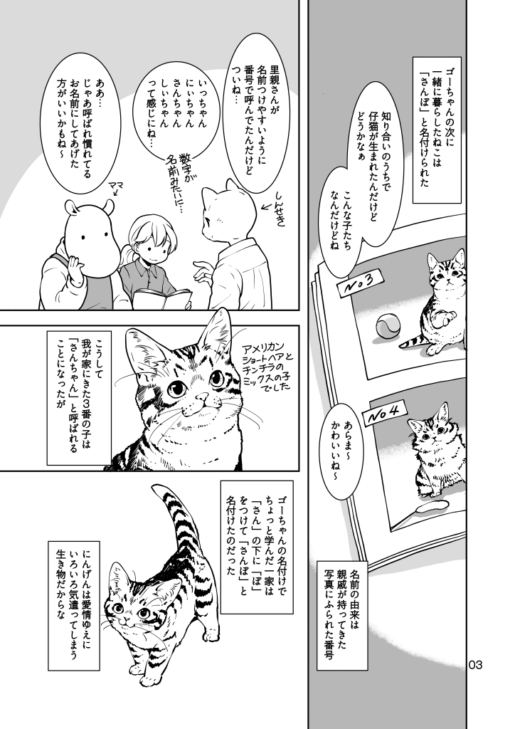 ねこのあれこれ