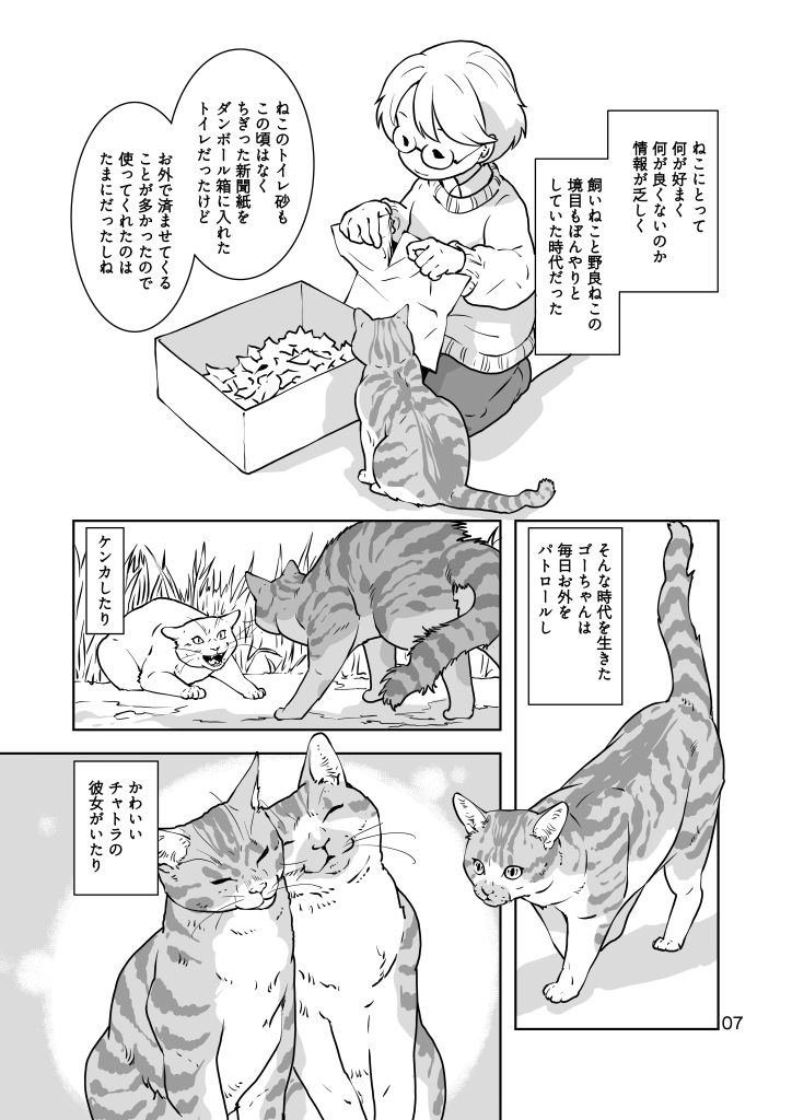 ねこのあれこれ