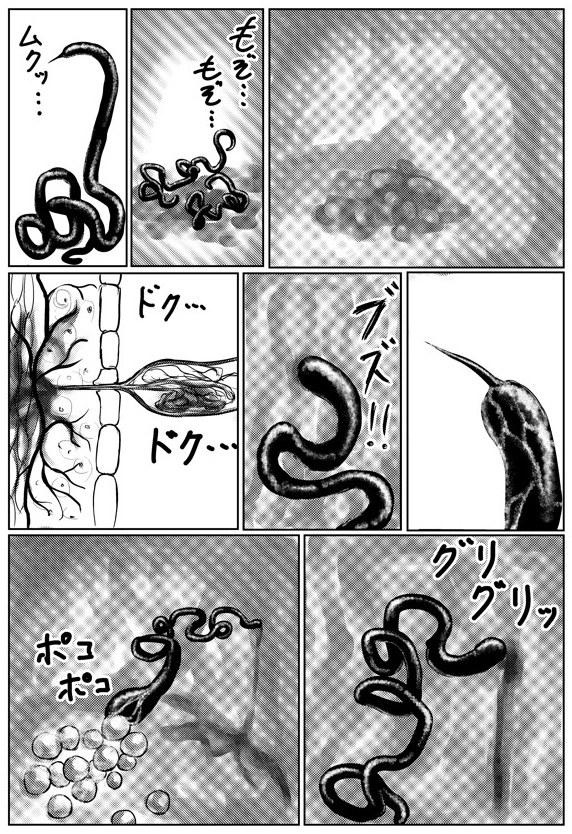 寄生虫のゆりかご
