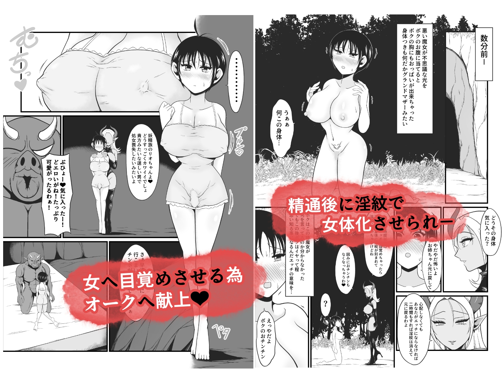 【TS悪堕ち】妖精のボクがオークのデカマラチンポに敗けてエッチな淫魔娘になっちゃうお話 – Preview 5