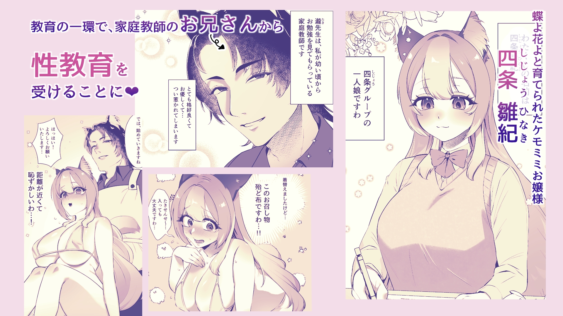 ムチ無知お嬢様 性教育 – Preview 2