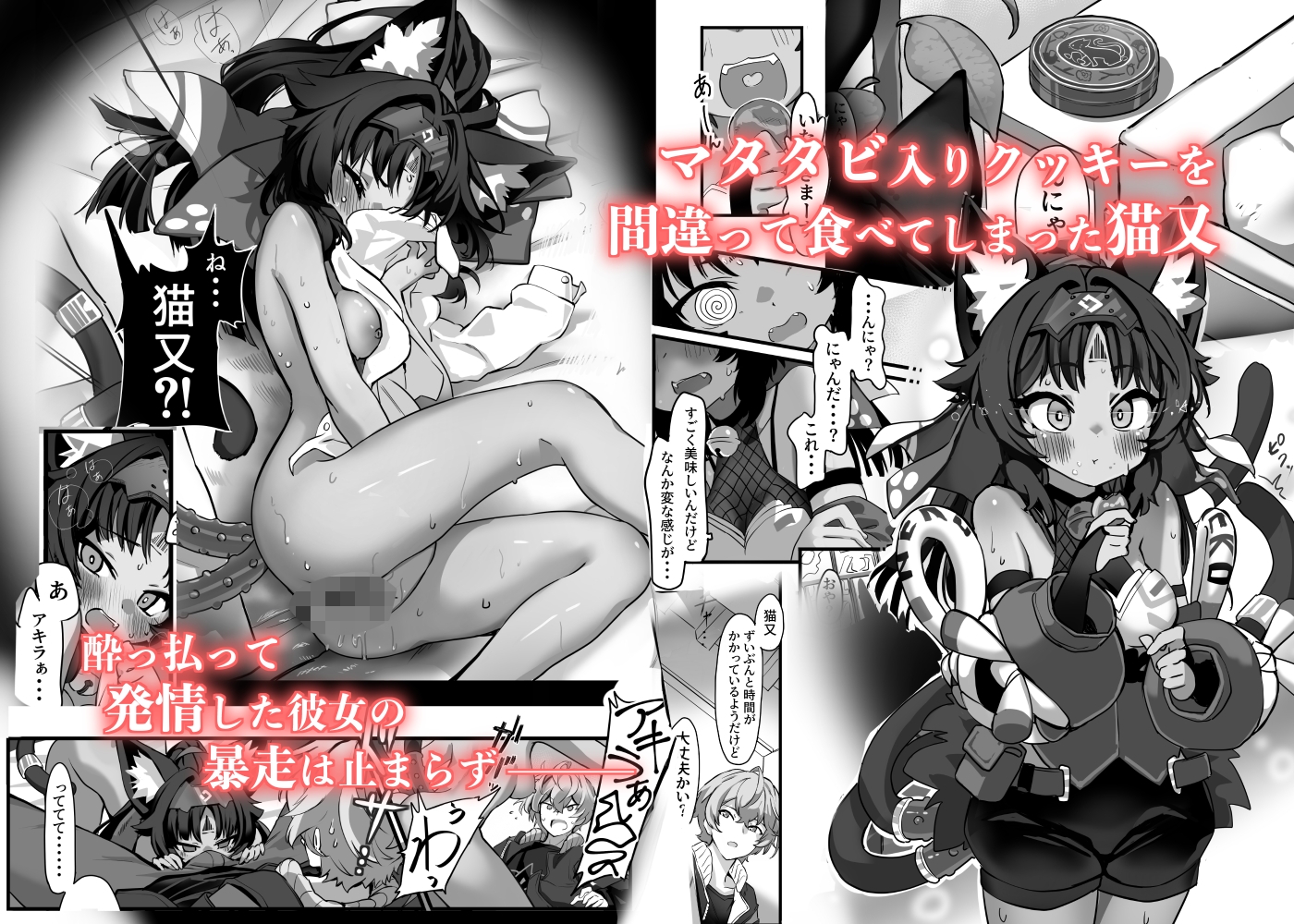 猫はマタタビの夢をみる