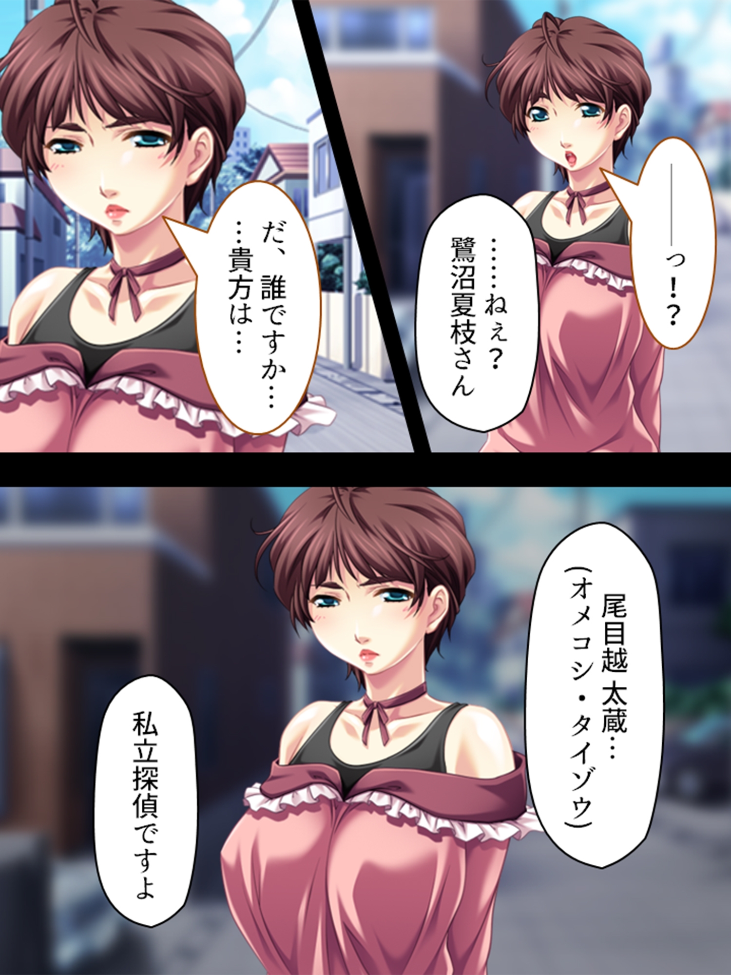 旦那から不倫調査を頼まれた俺が浮気妻に迫ってハメる <総集編> – Preview 2