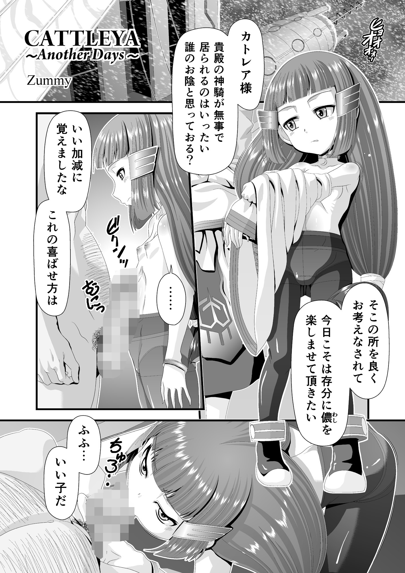 神騎エストレイヤ外伝 ～巫女姫達の恥辱～ – Preview 3