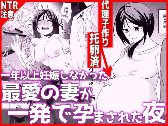 1年以上妊娠しなかった最愛の妻が一発で孕まされた夜 – main preview