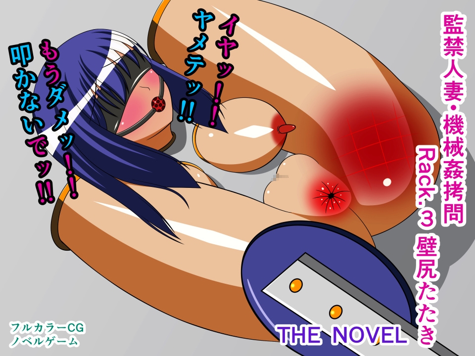 監禁人妻・機械○○問 THE NOVEL 総集編1