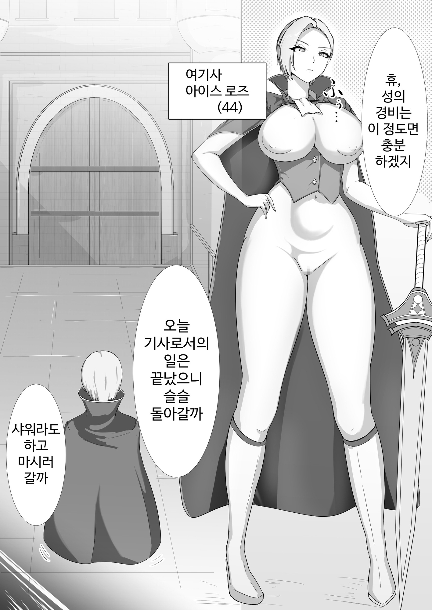 【韓国語版】高慢で堅物な行き遅れ熟女騎士(44)の初恋物語