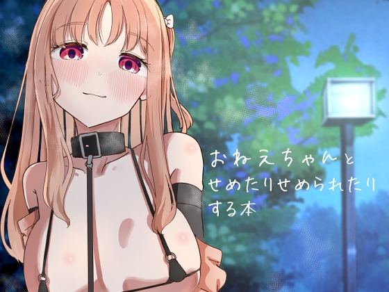 【簡体中文版】おねえちゃんと せめたりせめられたりする本 – main preview
