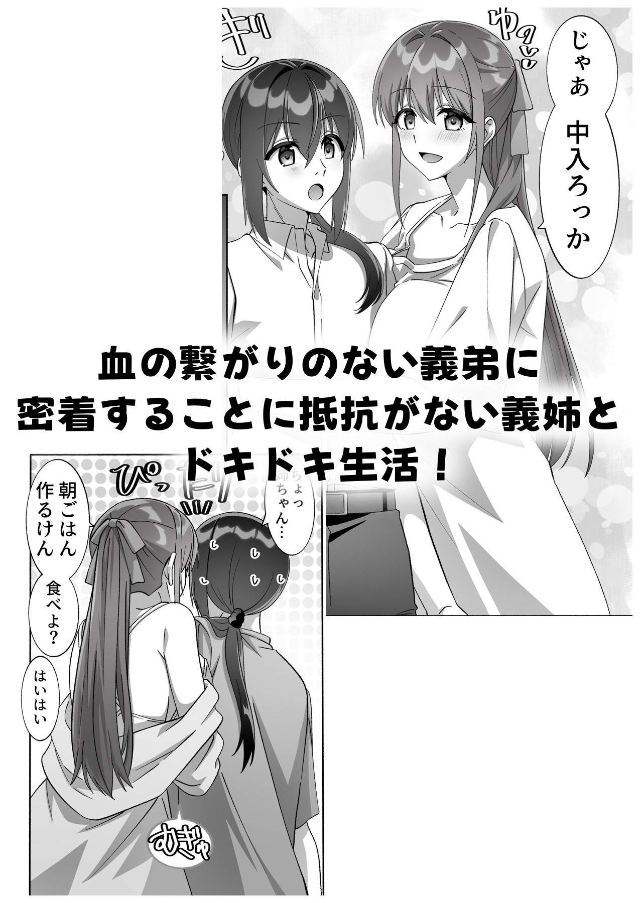 メンヘラ長身巨乳な義姉と僕の日常〜馴れ初め編〜【DLsite版】 – Preview 3