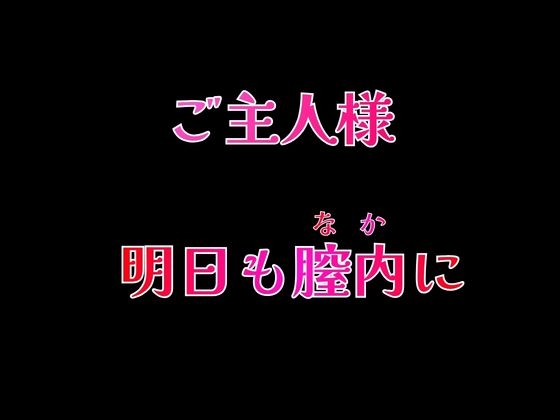 えちえち清純派新人メイドにゃん2 〜いつでもどこでも中出し孕ませSEX〜 ご主人様専用の穴です