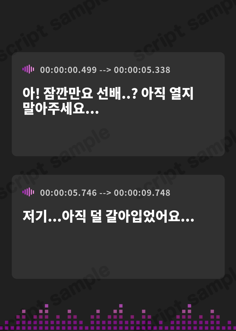 【韓国語版】何頼んでも断れないチャンとお熱いサマーバケーション