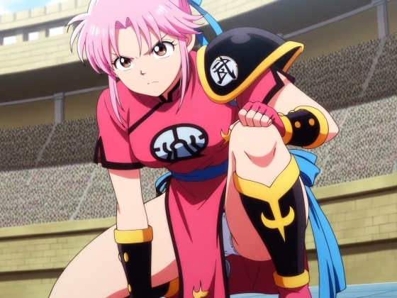 武闘家マ〇ムパンチラCG集2(全100枚)+簡易パンチラアニメ10本セット_model2