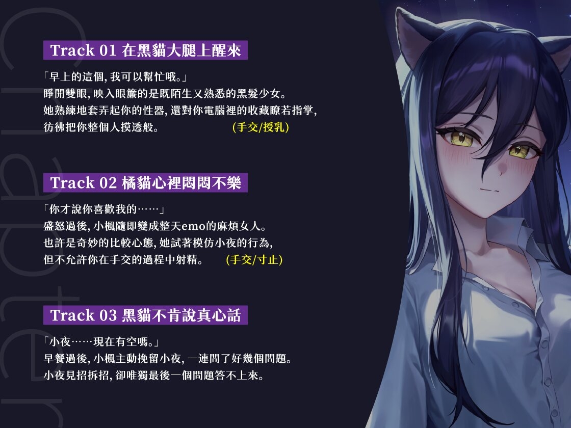 【雙人貓娘】黑貓晚上無法入眠【中文音聲】 – Preview 4