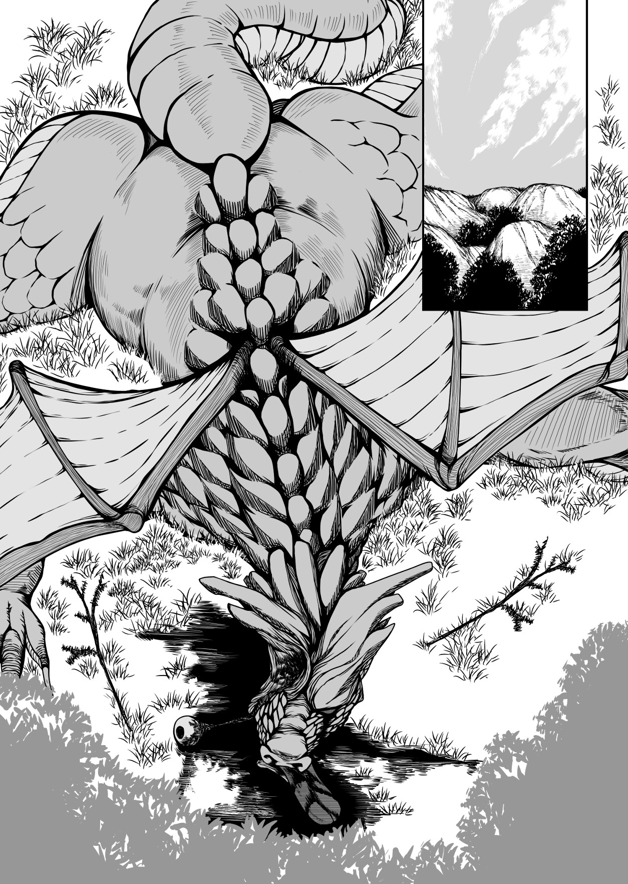 クリュエのキャンプ