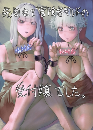 先日まで冒険者ギルドの“塩対応”“神対応”受付嬢でした。 – main preview