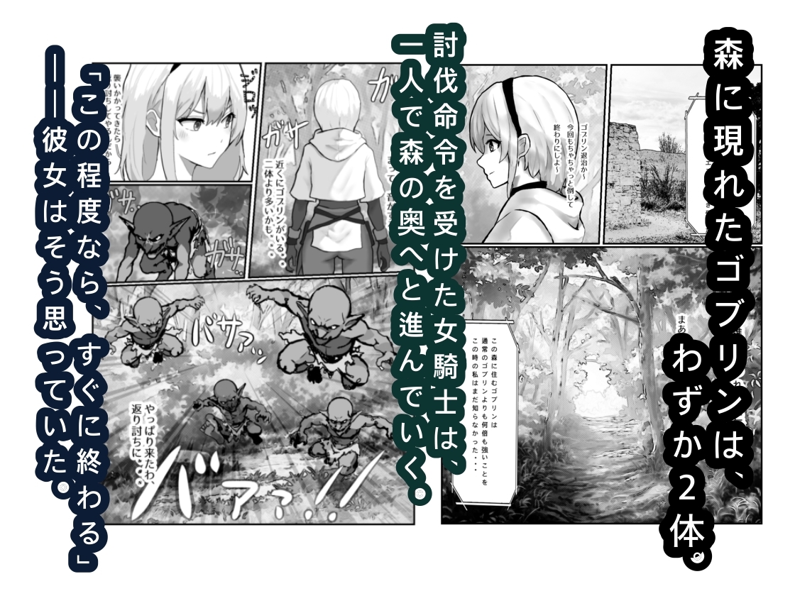 女騎士敗北録 〜ゴブリンの森〜 1 – Preview 2