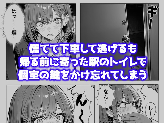 就活帰りの電車で居眠り…パンツ丸見えだった女子大生が駅トイレで中年に犯された件