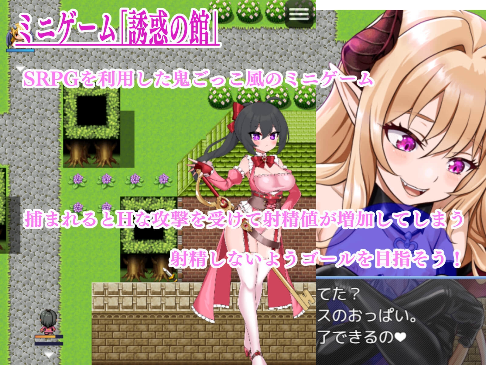 サキュバスドミニオンRB – Preview 9