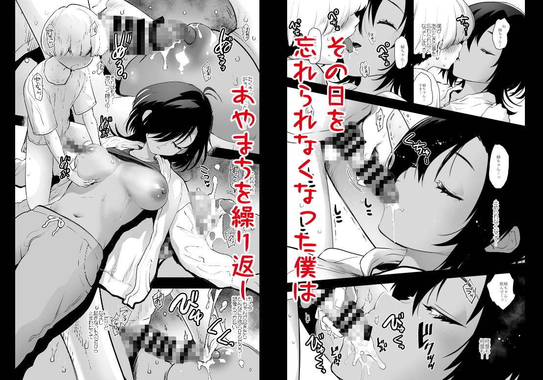 「姉ちゃんが寝ていたので。」-Memory of Lunatic Bitter Chocolate-<WEB Edition> – Preview 7