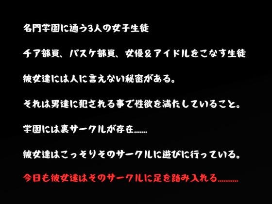 裏サークル 〜皆の童れ あの娘達は犯される事で性欲を満たしてる?〜