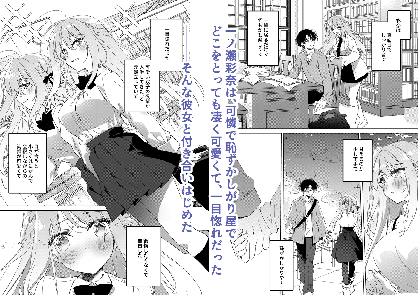 シスターコンプリシティ – Preview 2