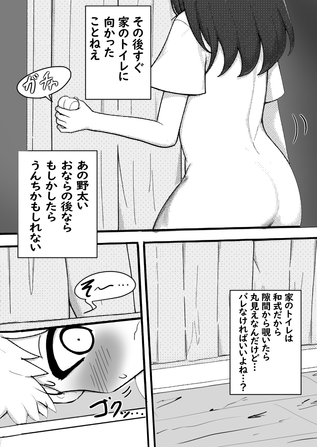 ショタが年上の従姉のお姉ちゃんのトイレを覗くお話 – Preview 3