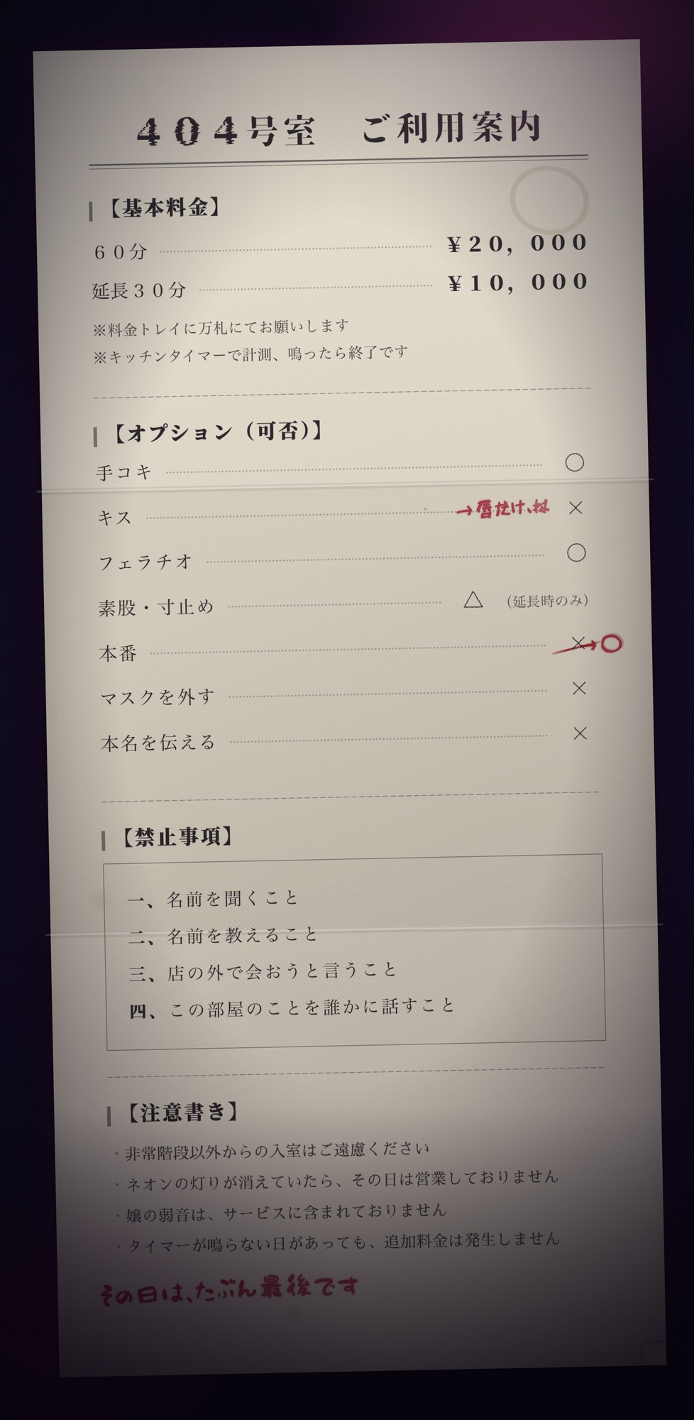 【完全匿名のマゾ向け裏風俗】60分2万円で哀れみセックス&情けない手コキ寸止め現実逃避〜404号室の売春婦のテクニックに沼った金欠社会人の末路～