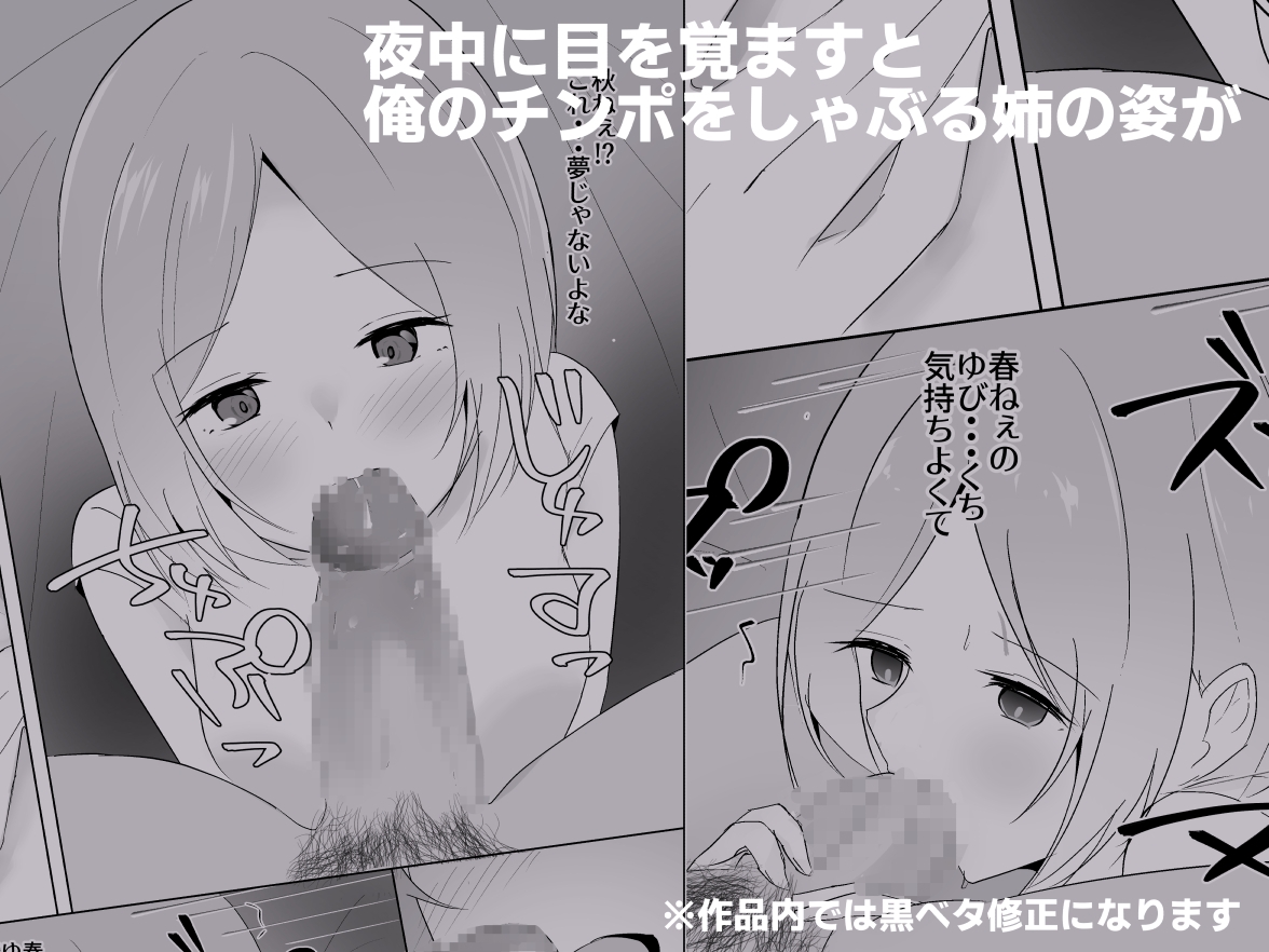 姉がよなよなフェラしてくる